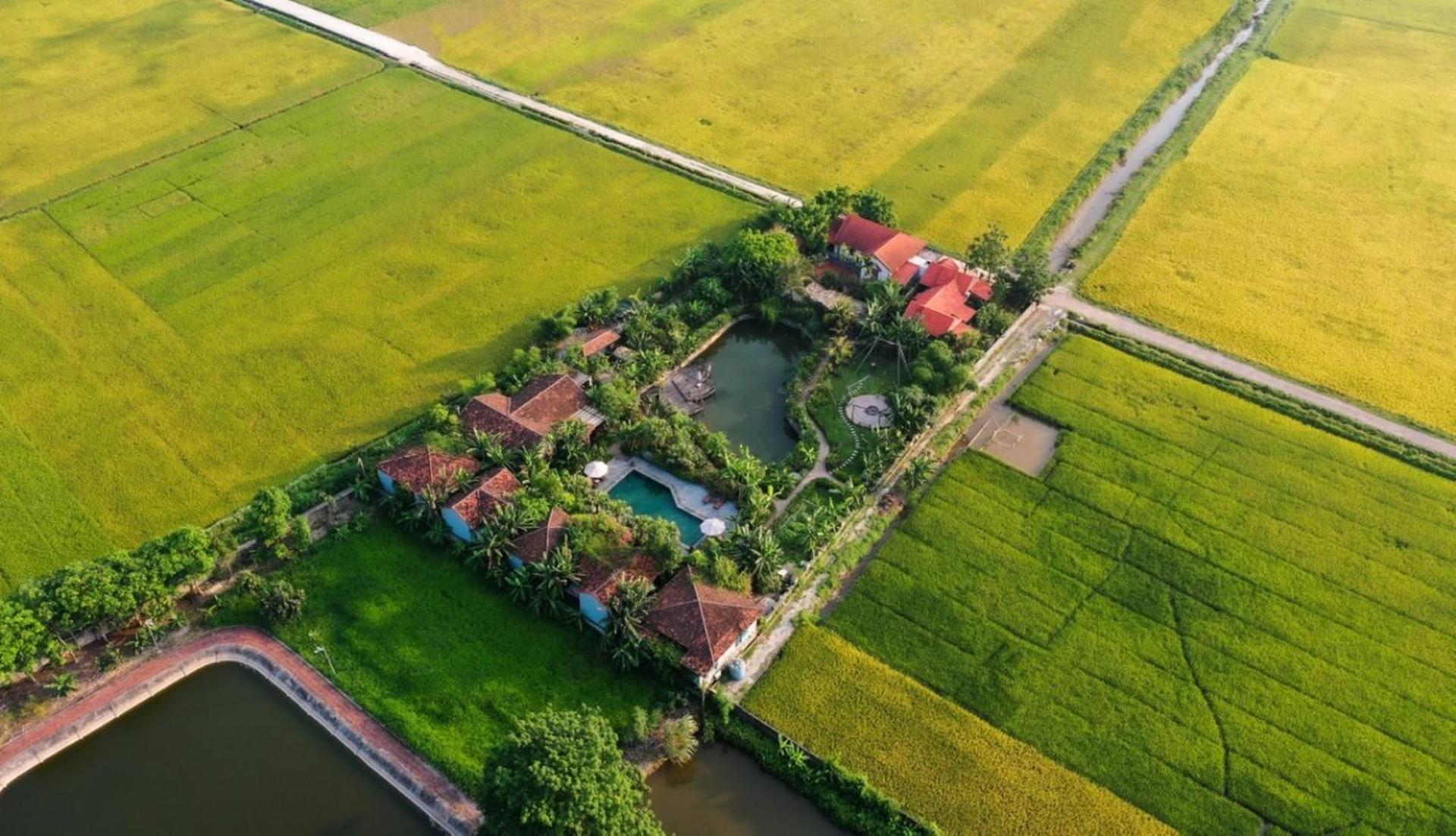 Chezcao Rice Field Ecolodge Ninh Binh Bagian luar foto